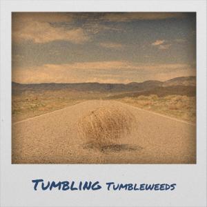 Listen to Sunny Tennessee song with lyrics from Clint Howard