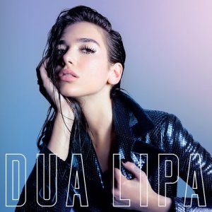 收聽Dua Lipa的Room for 2歌詞歌曲