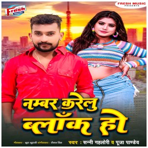 Listen to Number Karelu Block Ho song with lyrics from Sunny Gehlori