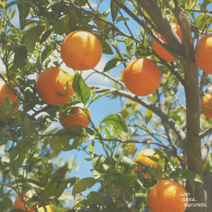 收聽kust的Citrus歌詞歌曲