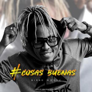 Album Cosas Buenas from Birbo Music