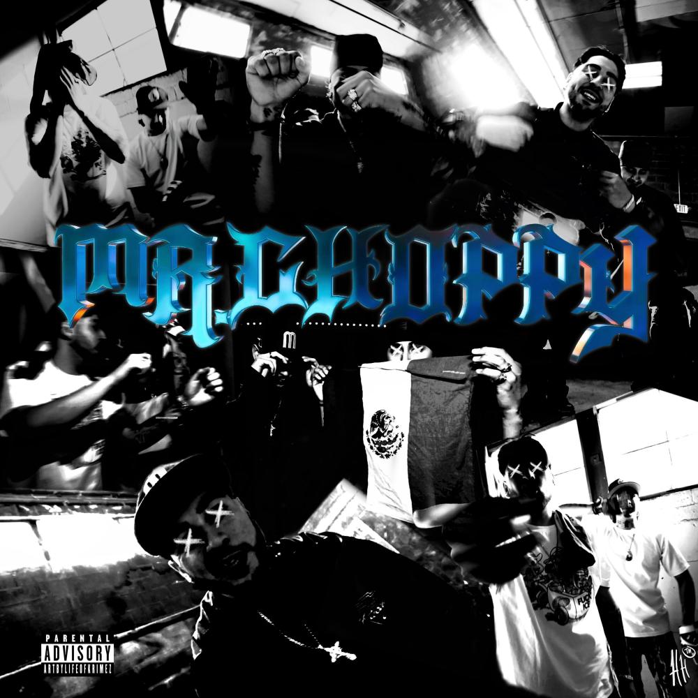 Mr. Choppy (feat. Louie Baggs) (Explicit)
