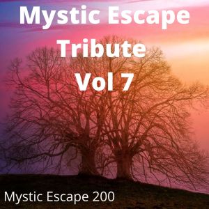 Listen to Don't Be Shy (Tribute Version Originally Performed By Tiësto and Karol G) song with lyrics from Mystic Escape 200