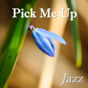 Listen to Pink Lady song with lyrics from Curtis Counce