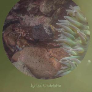 Various的专辑Lyrical Chatelaine