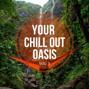 Various Artists的專輯Your Chill out Oasis Vol. 3