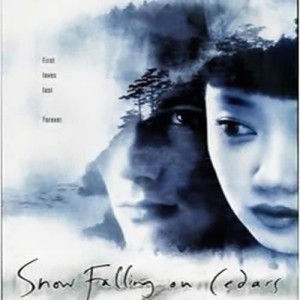 收聽James Newton Howard的Snow Drive歌詞歌曲