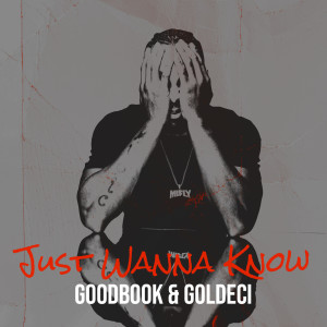 GoodBook的专辑Just Wanna Know (Explicit)