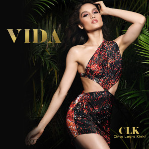 收聽Cinta Laura Kiehl的Vida歌詞歌曲