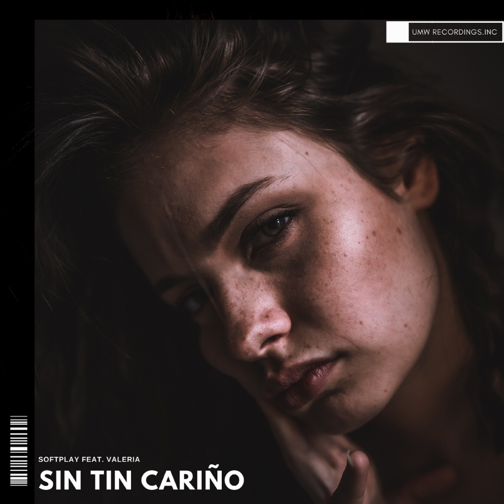 Sin Ti Cariño