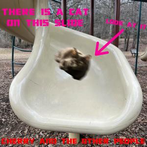 Cherry的專輯There Is a Cat on This Slide