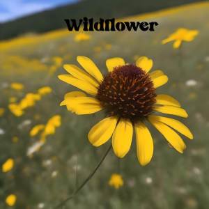 Goonie Beats的專輯Wildflower