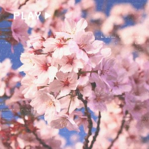 Dengarkan Flower Way (完整版) lagu dari $UPRA dengan lirik