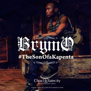 Album #TheSonOfaKapenta from Brymo