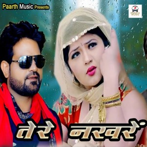Dengarkan Tere Nakhre lagu dari DJ King dengan lirik