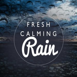 ดาวน์โหลดและฟังเพลง Hail Gives Way to Rain พร้อมเนื้อเพลงจาก Outside Broadcast Recordings