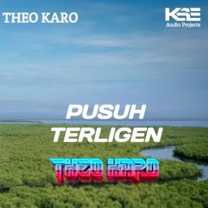 收听Theo Karo的PUSUH TERLIGEN歌词歌曲