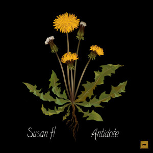Album Antidote from Susan H