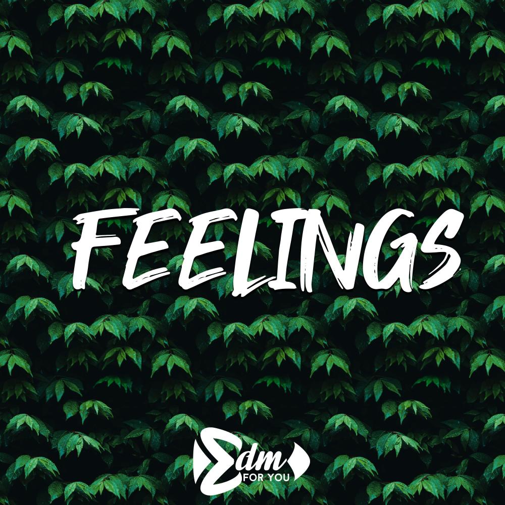Feelings