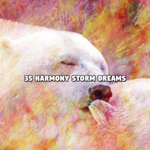 Album 35 Harmony Storm Dreams oleh The Rain Library