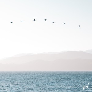 Dengarkan lost in translation lagu dari someday dengan lirik