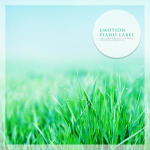 韓國羣星的專輯Meditation Piano To Relax And Appreciate
