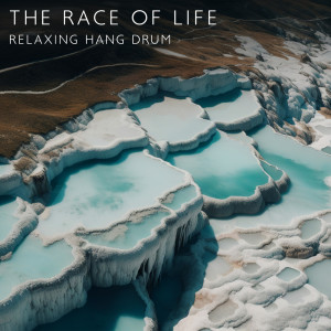 Album The Race of Life (Relaxing Hang Drum with Nature, Meditation Session) oleh Hang Drum Pro