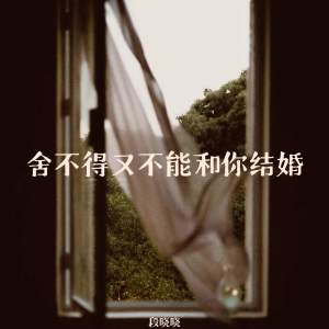 Album 舍不得又不能和你结婚 from 段晓晓