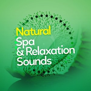 收聽The Natural Healing Project的Birdsong at the Waterside歌詞歌曲