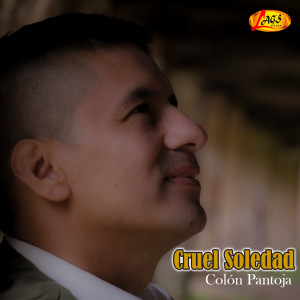 Listen to De Verdad Me Enamore song with lyrics from Colón Pantoja