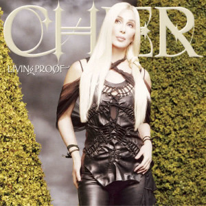 ดาวน์โหลดและฟังเพลง Body to Body, Heart to Heart พร้อมเนื้อเพลงจาก Cher