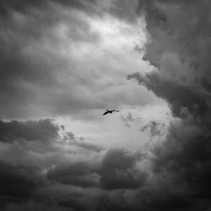 Calm Music的專輯10 PM Dreams: Airborne Wish