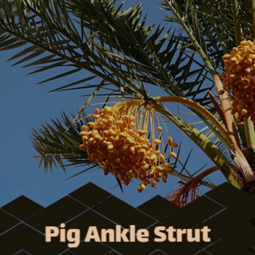 Pig Ankle Strut