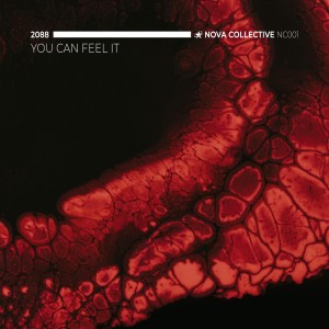 Album You Can Feel It (Extended Mix) from 2088
