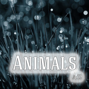 Listen to Animals song with lyrics from Az