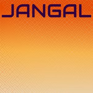 收聽Ellas McDaniel的Tap Dance歌詞歌曲