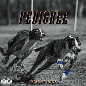 收聽Jayan的Pedigree (Explicit)歌詞歌曲