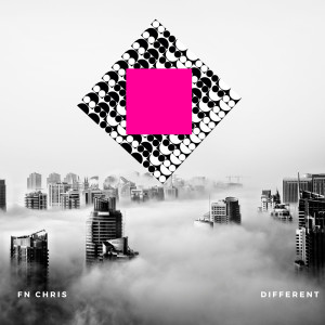 Listen to Different (Explicit) song with lyrics from FN CHRIS