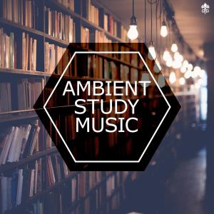 ดาวน์โหลดและฟังเพลง Waiting (SmallPrint Remix) พร้อมเนื้อเพลงจาก Monoman