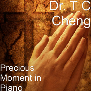 Listen to Precious Moment in Piano song with lyrics from Dr. T C Cheng