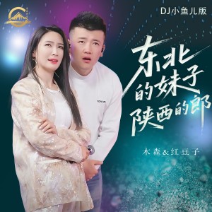 Album 东北的妹子陕西的郎(DJ小鱼儿版) from 木森