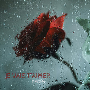 Listen to Je vais t'aimer song with lyrics from Rydim