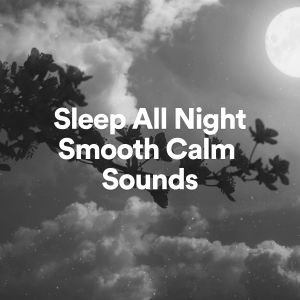 The Background Noise Company的专辑Sleep All Night Smooth Calm Sounds