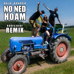 อัลบัม NO NED HOAM (Remix) ศิลปิน Anja Bavaria