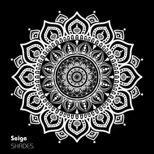 收聽Seige的Wipeout歌詞歌曲