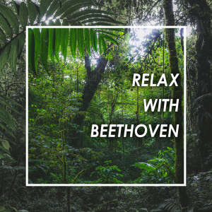 Ludwig van Beethoven的專輯Relax with Beethoven