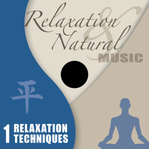 Album Relaxation Techniques from 