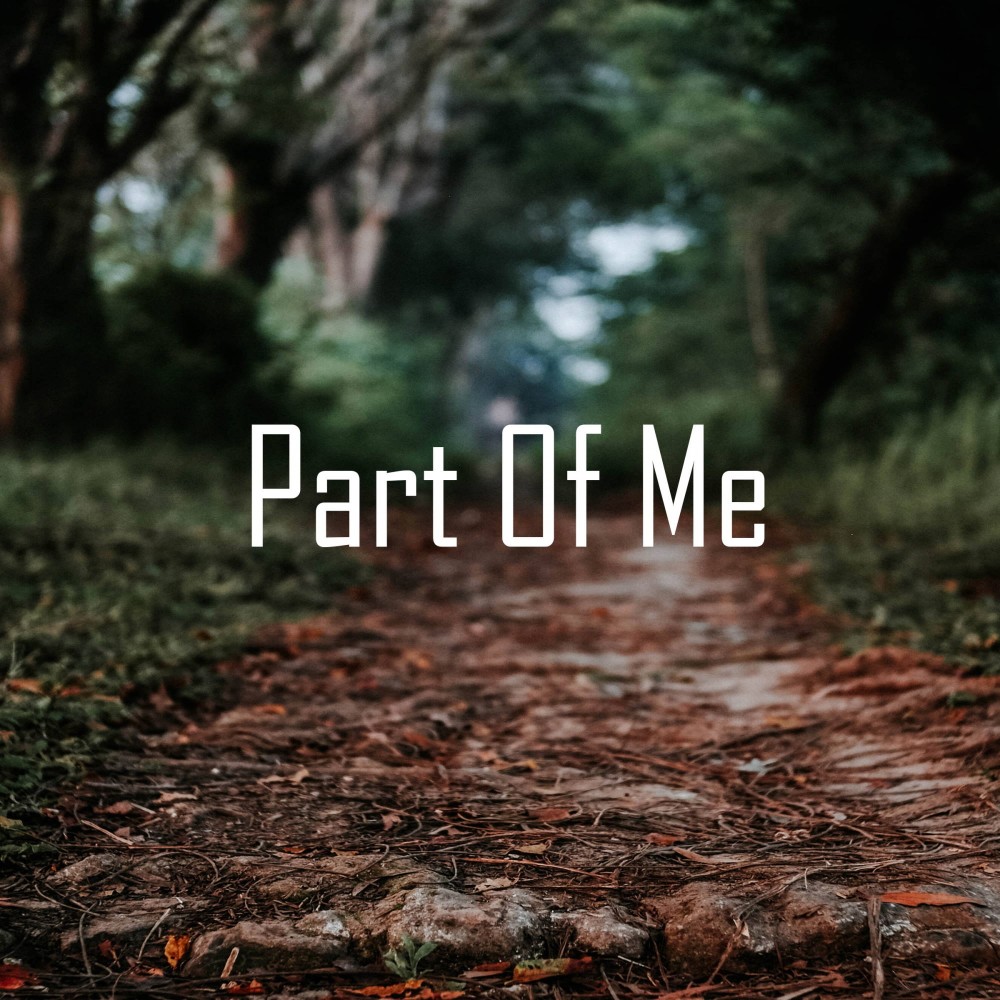Part Of Me