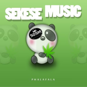 Listen to Evaluation Route song with lyrics from Phalafala