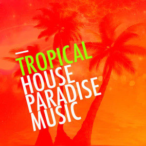 收聽Tropical House Music的Never歌詞歌曲